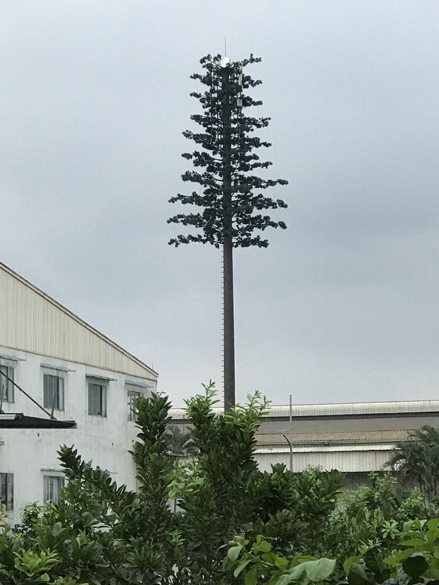 Monopole Cell Tower